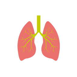 Pulmonnologist